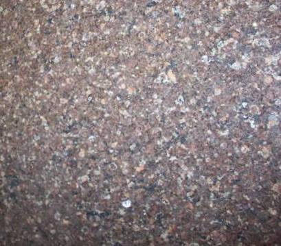 Marron Castor