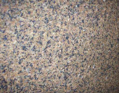 Tropic Brown