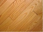 American Red Oak